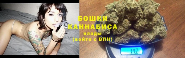 прущая мука Няндома