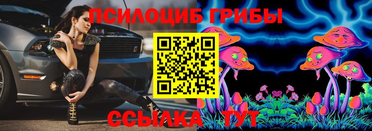 Ангарск  Псилоцибиновые грибы Psilocybine cubensis  Галлюциногенные грибы Cubensis  Вход с VPN 